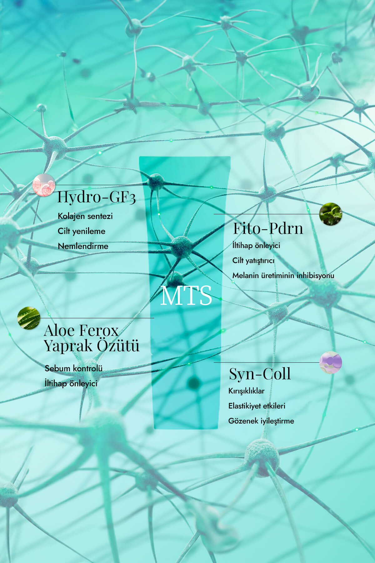 Rejurecipe MTS Roller Serum