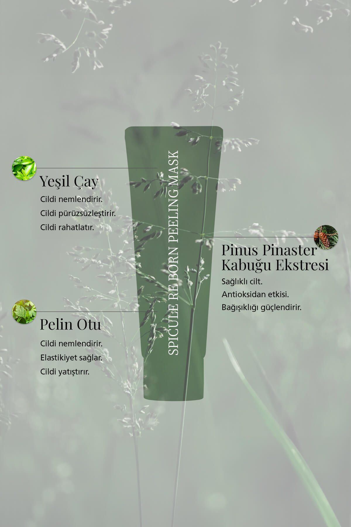 Spicule Re-born Peeling Mask